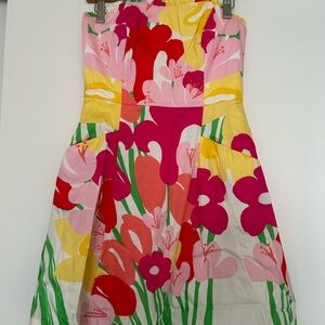 Lilly Pulitzer Size 2 Dress